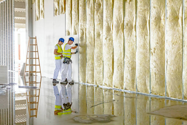 Best Insulation Maintenance and Repair in Tecumseh, NE